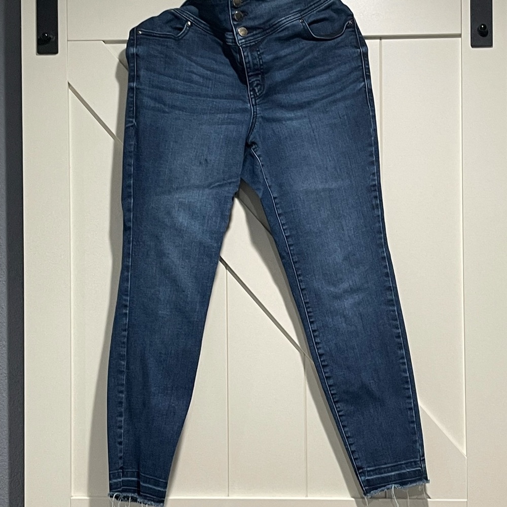 Lane Bryant Jegging.